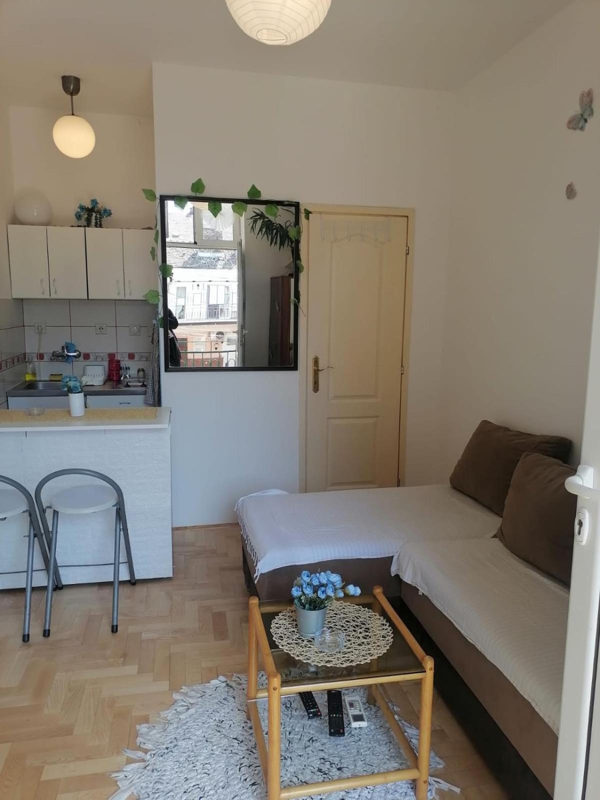 Small Low Cost Studio Beograd Bagian luar foto